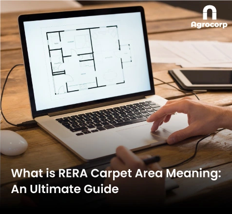 rera-carpet-area-thumbnail