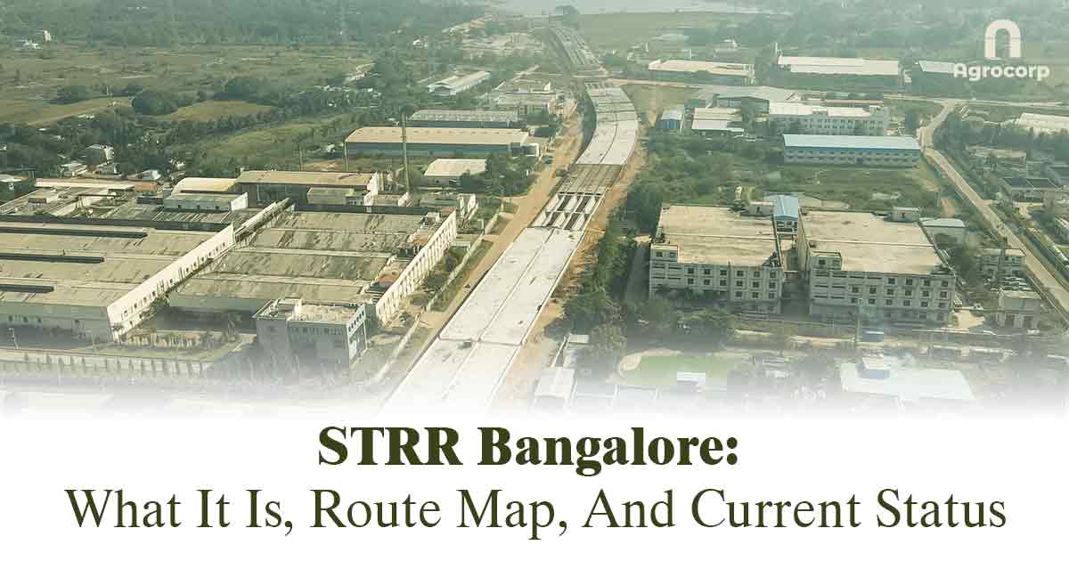 Satellite Town Ring Road takes shape – Realty Check.
